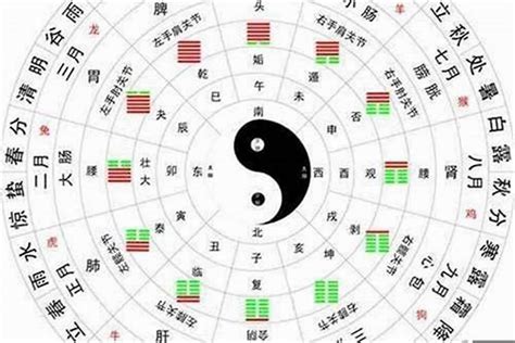 土蛇五行|属蛇在金木水火土五行里属什么